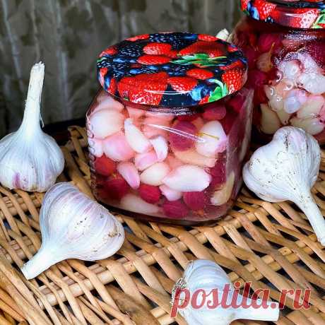 Сад 🔄 огород круглый год в Instagram: «Всем доброго субботнего утра!!! 🤗🌹 ⠀ Как вы уже поняли, у меня в этом году очень неплохой урожай крыжовника. Поэтому всю неделю занималась…»