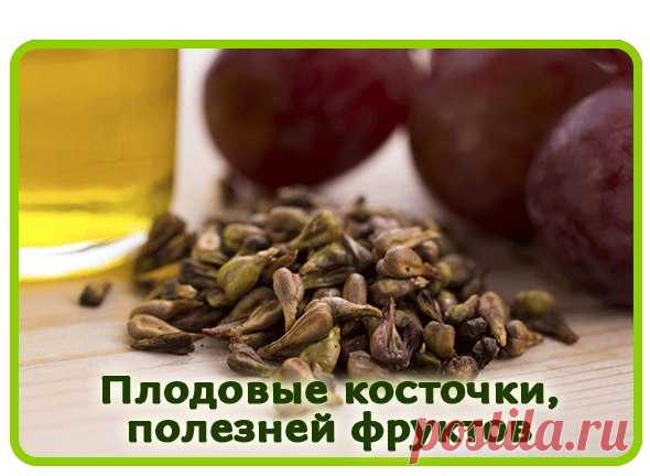 ВЫ БУДЕТЕ УДИВЛЕНЫ: ПЛОДОВЫЕ КОСТОЧКИ ИНОГДА ПОЛЕЗНЕЕ, ЧЕМ САМИ ФРУКТЫ