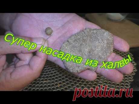 Супер насадка из халвы для ловли карпа и карася. My fishing.