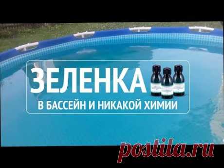 Зеленку в бассейне вместо химии. Домашняя аптека