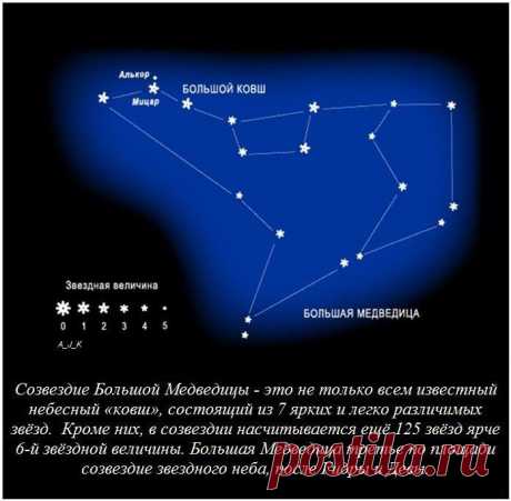 Забавные факты, которые поднимут вам настроение / Всё самое лучшее из интернета