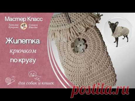 Жилетка крючком по кругу, DIY crochet vest for dog