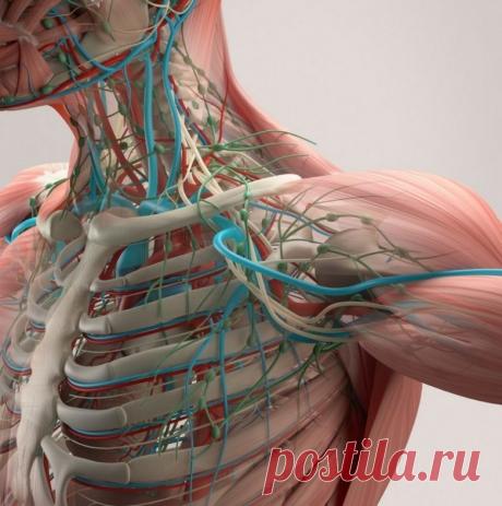 Симптомы лейкемии, которые часто игнорируют / Будьте здоровы