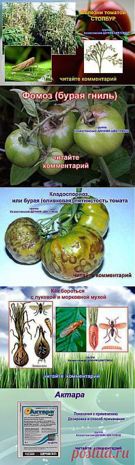 Одноклассники