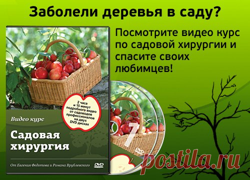 Деревья, как и люди, иногда болеют, или растут не так как надо, но это не значит, что надо хвататься за пилу.... Для того, чтобы помочь в лечении болезней и механических повреждений создан видео курс «Cадовая хирургия»