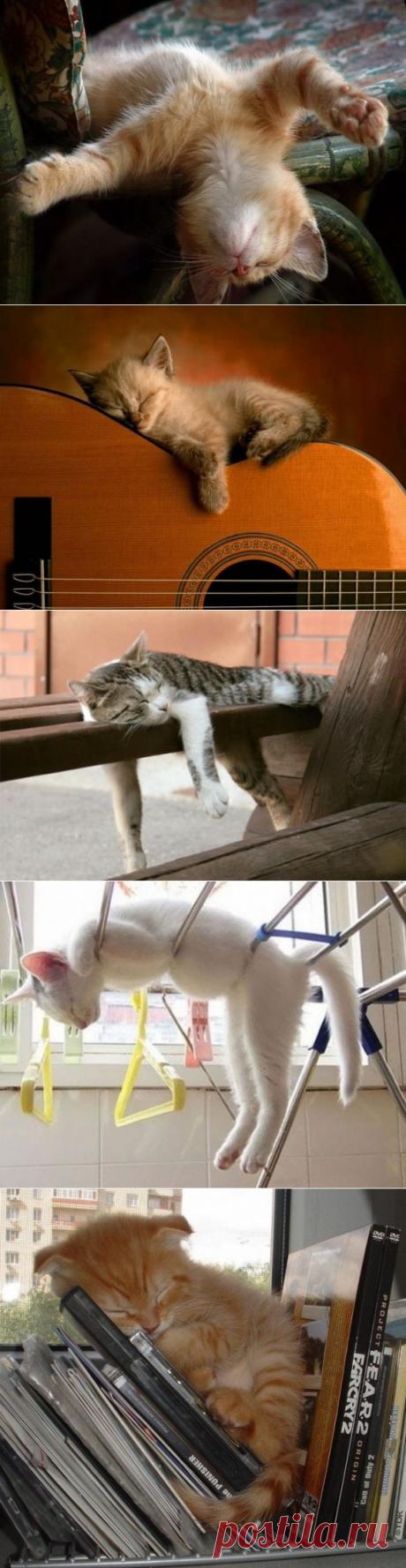 Пятничный позитивчик