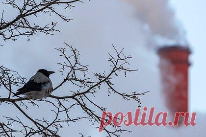 Подсчитано количество пострадавших домов в Ангарске из-за аварии на ТЭЦ