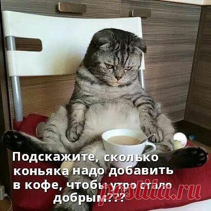 Просто подскажите ...