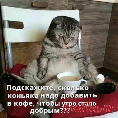 Просто подскажите ...