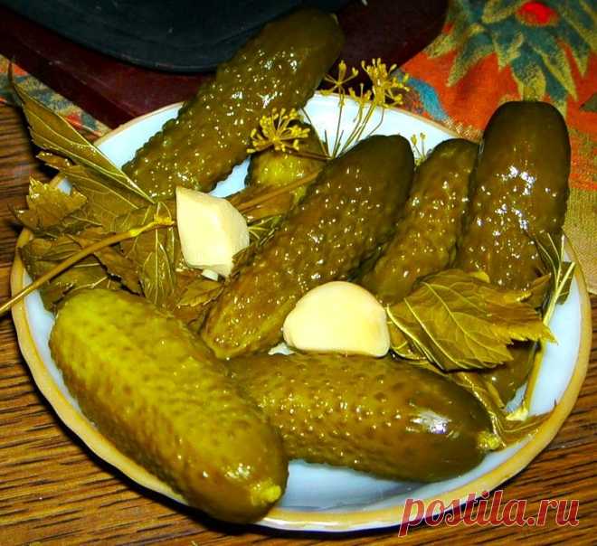Огурчики соленые. Хрустящие