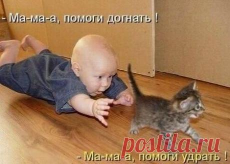 Новости