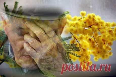 ОЧЕНЬ ТРОНУЛИ ЭТИ СТИХИ....