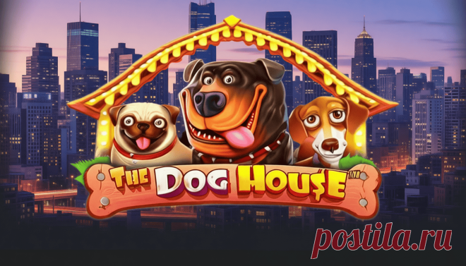 Собаки в городе — и всё это в слоте The Dog House! 🐶🏙️ Яркие персонажи, азарт и бонусы на каждом вращении. Играть онлайн — как попасть в мультфильм! Кликай, запускай и выигрывай прямо сейчас!
