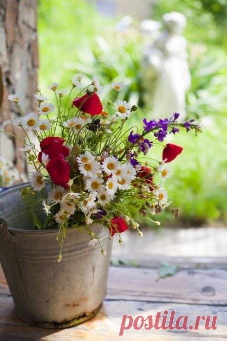 Проснувшись, открыли глаза,
Открыли окно нараспашку,
Открыли летящую пташку,
Которой небес бирюза
Старается фоном служить,
Как, впрочем, и всей нашей были.
Сей день наступивший открыли,
В котором планируем жить.
Лариса Миллер
ДОБРОГО УТРА!!! ЧУДЕСНОГО ДНЯ!!! ПРЕКРАСНОГО НАСТРОЕНИЯ!!!