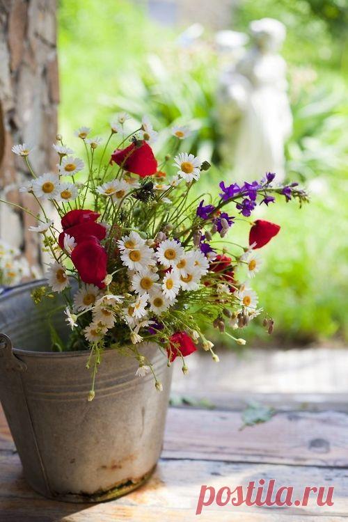 Проснувшись, открыли глаза,
Открыли окно нараспашку,
Открыли летящую пташку,
Которой небес бирюза
Старается фоном служить,
Как, впрочем, и всей нашей были.
Сей день наступивший открыли,
В котором планируем жить.
Лариса Миллер
ДОБРОГО УТРА!!! ЧУДЕСНОГО ДНЯ!!! ПРЕКРАСНОГО НАСТРОЕНИЯ!!!