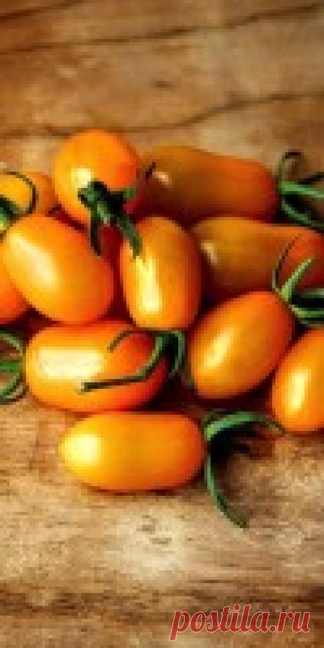 Желтые томаты – залог крепкого здоровья! Сорта