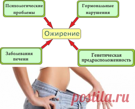 Генетическое ожирение можно ли похудеть?
По специальности я закончила экономическую безопасность
и защитилась на красный диплом, но, как видишь, по ней не работаю.
А стала для ТЕБЯ оберегом от зажоров и потолстения.
