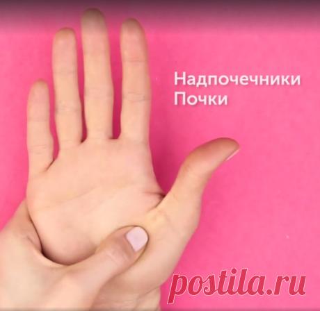 5 активных точек на ладонях, которые управляют организмом