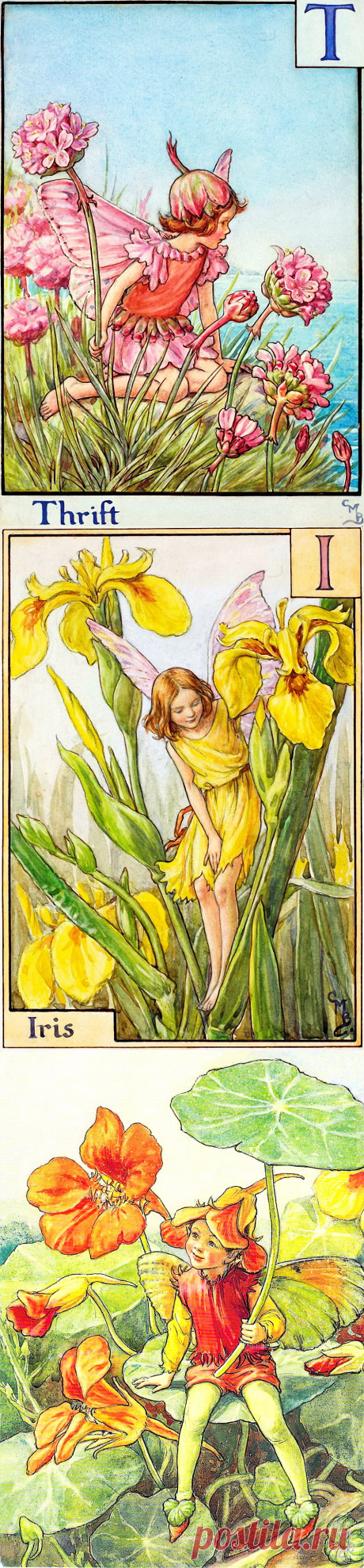 Добро пожаловать в мир Цветочных фей! Художница Cicely Mary Barker. Часть 1.