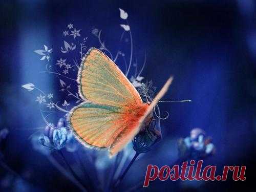 Упражнение «Бабочка»: раскрываем чакры и улучшаем энергетику