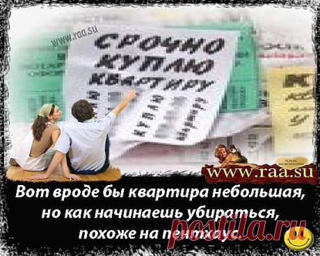 Как где лучше купить хорошую квартиру безопасно недорого от хозяина. Как безопасно купить квартиру. Как проверить чистоту историю квартиры, какую квартиру