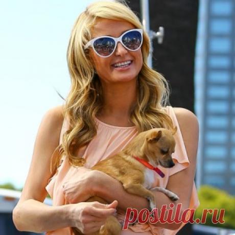 Самые безбашенные покупки знаменитостей