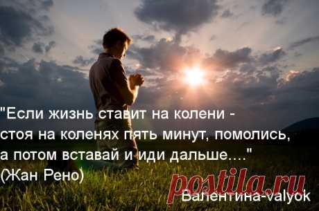 Моя открытка