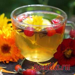 Лечение желчного пузыря народными средствами - МирТесен