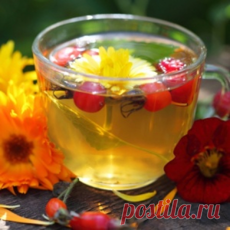 Лечение желчного пузыря народными средствами - МирТесен