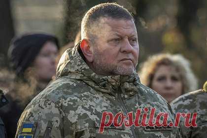 В окружении Зеленского раскрыли истинную причину отставки Залужного. Интервью главнокомандующего Вооруженных сил Украины (ВСУ) Валерия Залужного о провале летнего контрнаступления ВСУ вынудило президента Украины Владимира Зеленского убеждать западных союзников продолжать помогать Киеву. Истинную причину отставки главы ВСУ со ссылкой на окружение Зеленского раскрыли СМИ
