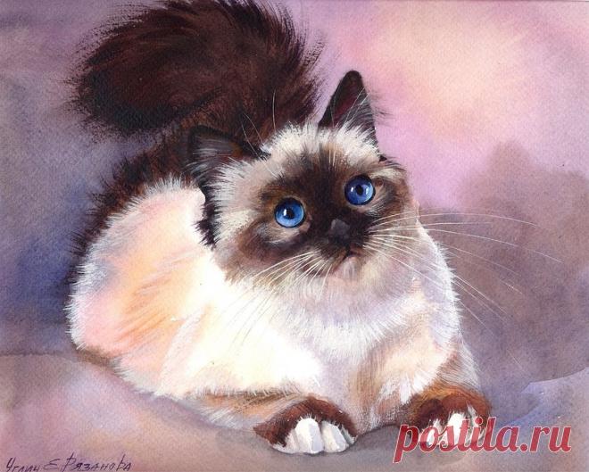 Екатерина Рязанова 2