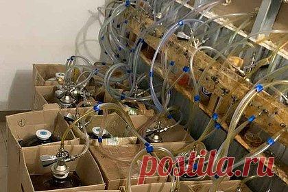 Нарколог рассказал об особенностях массового отравления россиян сидром. Нарколог Руслан Исаев рассказал, что судорожный синдром, развившийся у россиян, отравившихся сидром «Мистер сидр», во многом похож на приступ эпилепсии. Вероятнее всего, имело место воздействие на периферическую нервную систему, например, в результате попадания в напиток токсичного вещества.