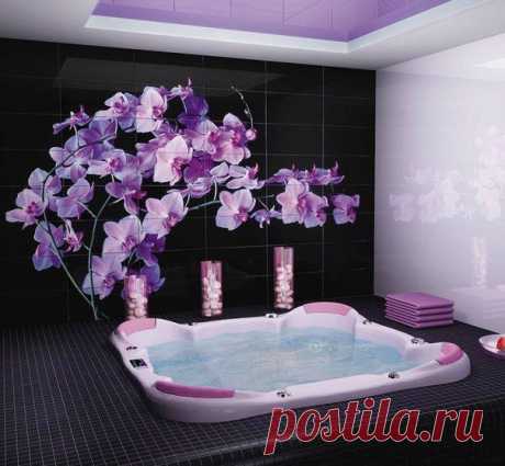 Фотографии на стене сообщества | 32 861 фотография | ВКонтакте