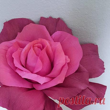 Another large one that will unravel, or unpetal, in the window. #castleintheair