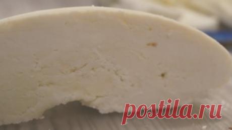 Домашний сыр из молока. Самый легкий рецепт приготовления Сыра! рецепт с фото