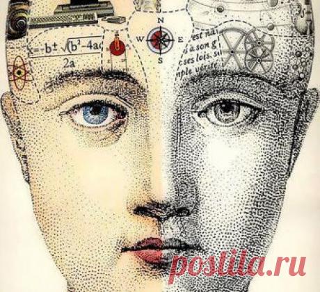 Ваш МОЗГ — это мальчик или девочка? На стадии эмбриона, примерно до 8-ми недель мы все — девочки. И только потом, когда начинается производство гормонов, эмбрионы с ХY-хромосомным набором постепенно превращаются в мальчиков. А эмбрионы с ХХ-хромосомным набором продолжают развиваться как девочки