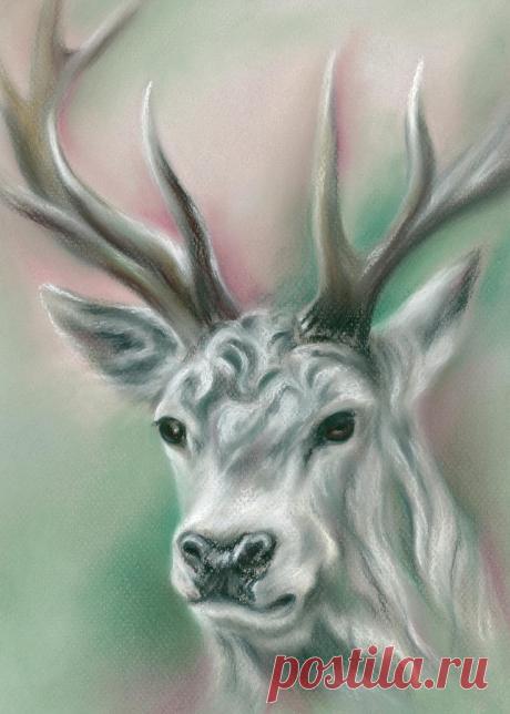 White Stag by MM Anderson White Stag Painting by MM Anderson