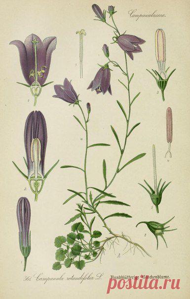 ~ MON PLAISIR ~ Вещи для души. Винтаж,Прованс.