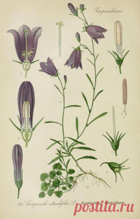 ~ MON PLAISIR ~ Вещи для души. Винтаж,Прованс.