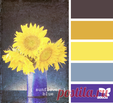 Цветы, деревья — источник вдохновения! | BepHuK собирает друзей