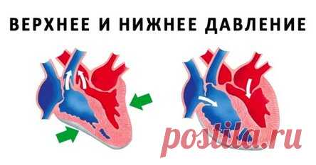 Разница между верхним и нижним давлением все, что нужно знать