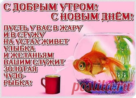 Смешные картинки Доброе утро рыба 27 фото