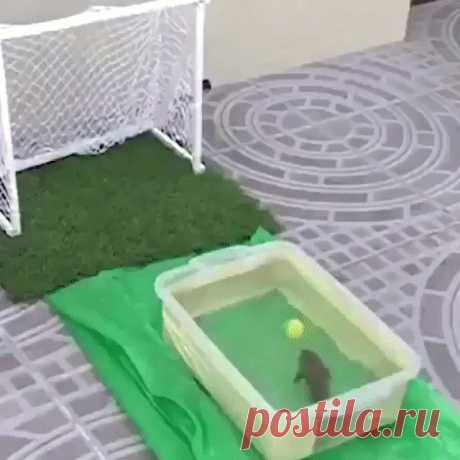 Одноклассники