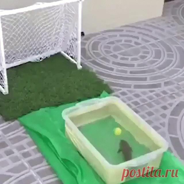 Одноклассники