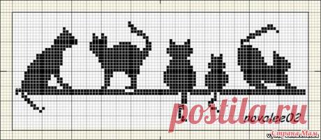 19770585_12855.jpg (699×306)