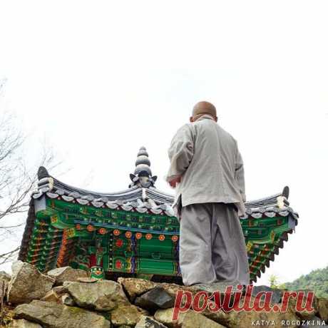 Сегодня День рождения Будды 🙏
2559 лет 🎂 #буддизм #buddhism #Корея #Korea #SouthKorea #한국 #ig_korea #travelKorea #koreatrip2015 #koreatrip