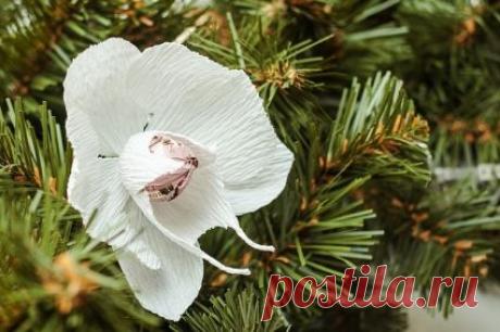 Белая орхидея из гофрированной бумаги и конфетки Мастер-класс и источники вдохновения :: Втворчестве.ru