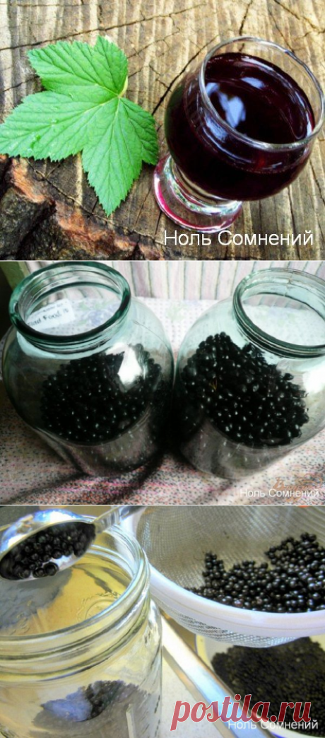 Очень вкусная наливка из черной смородины, гости будут требовать добавки! | Ноль сомнений | Яндекс Дзен