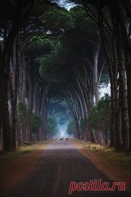 wonders of the world
