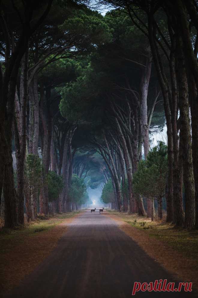 wonders of the world
